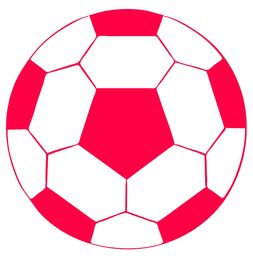 爱游戏体育入口-体育类短视频内容对青少年运动行为的引导作用研究，体育短视频定义