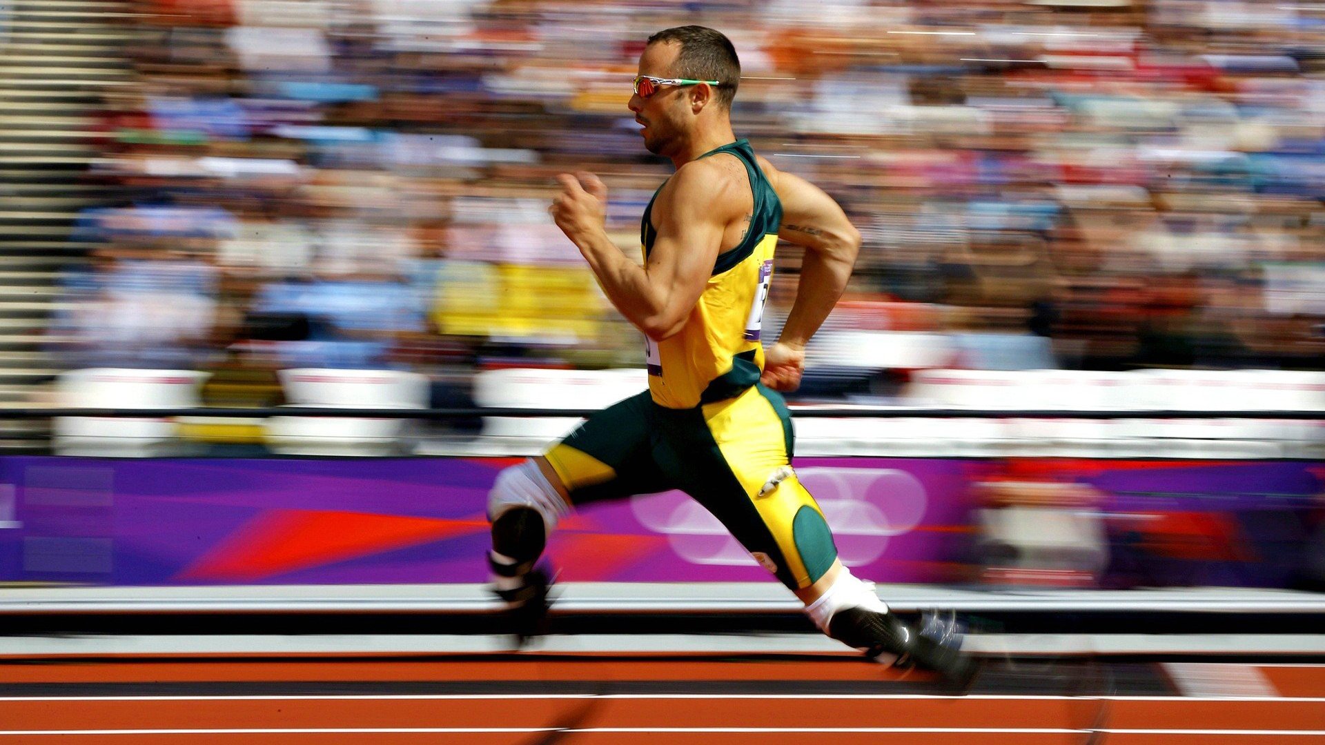 爱游戏ayx-冠军球队主场改造计划公布，设施更现代化，冠军球场怎么样